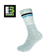 Спортивные носки Bisoks 11022 l.grey/2 stripes black/light blue цена и информация | Мужские носки | 220.lv