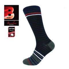 Мужские носки Bisoks 12329 синие цена и информация | Мужские носки | 220.lv