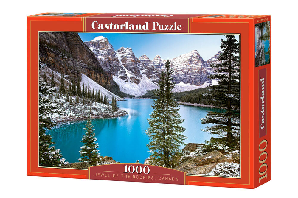 CASTORLAND Puzzle 1000el cena un informācija | Puzles, 3D puzles | 220.lv