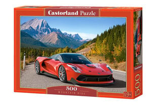CASTORLAND Puzzle 500el cena un informācija | Puzles, 3D puzles | 220.lv