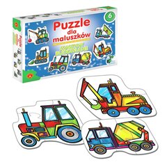 ALEXANDER Puzzle cena un informācija | Puzles, 3D puzles | 220.lv