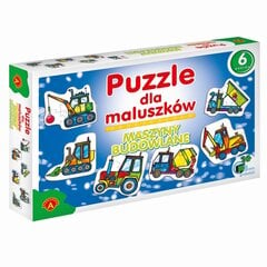ALEXANDER Puzzle cena un informācija | Puzles, 3D puzles | 220.lv