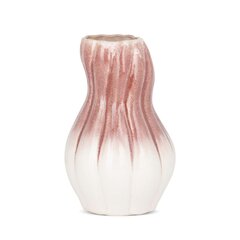 Ваза, 25 см цена и информация | ваза для цветов с подставкой 3 шт. | 220.lv