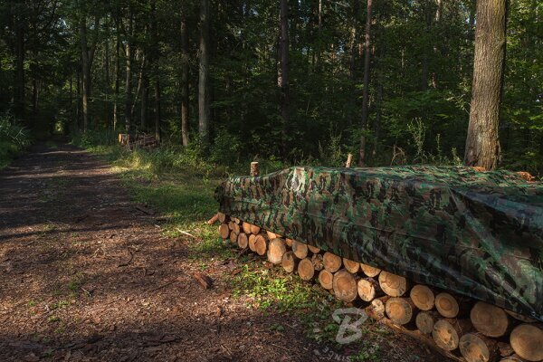 Kamuflāžas āra tents Bradas CAMOforest 1,5x5 m, 90 g/m² cena un informācija | Dārza instrumenti | 220.lv