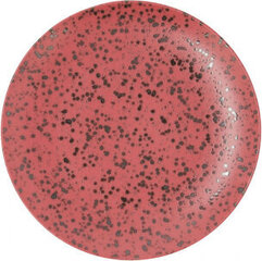 Плоская тарелка Ariane Oxide Керамика Красный (Ø 24 cm) (6 штук) цена и информация | Посуда, тарелки, обеденные сервизы | 220.lv