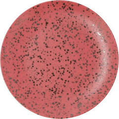 Плоская тарелка Ariane Oxide Керамика Красный (Ø 27 cm) (6 штук) цена и информация | Посуда, тарелки, обеденные сервизы | 220.lv