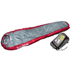 Спальный мешок Royokamp Camper, односпальный, серый цена и информация | Спальные мешки | 220.lv