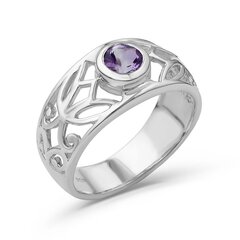 Серебряное (925) кольцо с драгоценными камнями, код ah5266-1 AH5266-1EU-57 цена и информация | Кольца | 220.lv