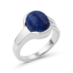 Серебряное (925) кольцо с драгоценными камнями, код ah5044-22 AH5044-22EU-57 цена и информация | Кольца | 220.lv