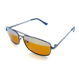 Мужские солнцезащитные очки с поляризованными линзами цена и информация | Солнцезащитные очки для мужчин | 220.lv