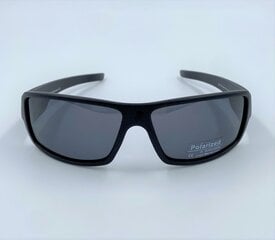 Отзыв о мужских солнцезащитных очках цена и информация | Солнцезащитные очки для мужчин | 220.lv