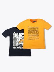 T-krekli zēniem BRUMS 2 gab. Pz Bicolor 520087818 цена и информация | Рубашки для мальчиков | 220.lv