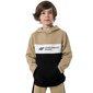 Bērnu džemperis 4F light Jr HJZ22 JBLM003 82S, brūns cena un informācija | Zēnu jakas, džemperi, žaketes, vestes | 220.lv