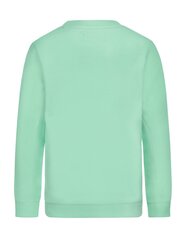 Детская толстовка DJ DUTCHJEANS Bright Green 520870256 цена и информация | Кофточки, джемперы, пиджаки для младенцев | 220.lv