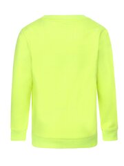 Джемпер DJ DUTCHJEANS Neon Yellow 520870166 цена и информация | Свитеры, жилетки, пиджаки для мальчиков | 220.lv