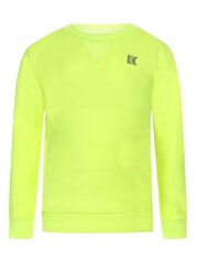 Джемпер DJ DUTCHJEANS Neon Yellow 520870166 цена и информация | Свитеры, жилетки, пиджаки для мальчиков | 220.lv