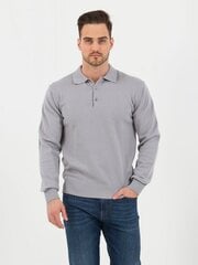 Свитер для мужчин Storgio, серый цена и информация | Мужские свитера | 220.lv
