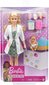 Lelle Barbie ārsts, GYK01 цена и информация | Rotaļlietas meitenēm | 220.lv