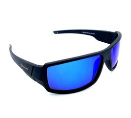 Vīriešu saulesbrilles цена и информация | Солнцезащитные очки для мужчин | 220.lv