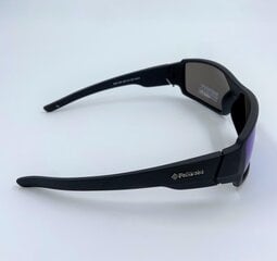 Стильные мужские солнцезащитные очки цена и информация | Солнцезащитные очки для мужчин | 220.lv