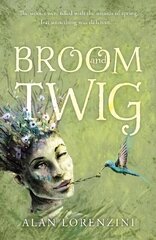 Broom and Twig цена и информация | Книги для подростков  | 220.lv