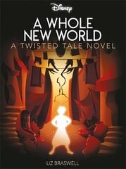 Disney Princess Aladdin: A Whole New World цена и информация | Книги для подростков  | 220.lv