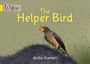 Helper Bird: Band 03/Yellow, Helper Bird: Band 03/Yellow cena un informācija | Grāmatas pusaudžiem un jauniešiem | 220.lv