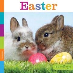 Easter цена и информация | Книги для подростков  | 220.lv