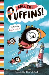 Call the Puffins цена и информация | Книги для подростков и молодежи | 220.lv