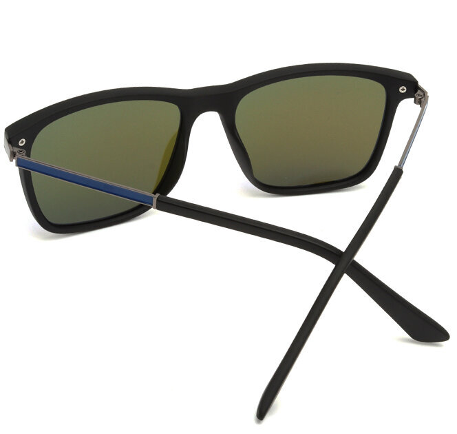 Vīriešu saulesbrilles Label L1523 Polarized cena un informācija | Saulesbrilles  vīriešiem | 220.lv