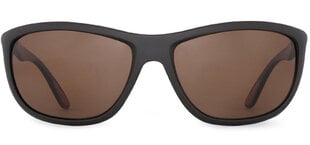 Vīriešu saulesbrilles Label L1345N Polarized cena un informācija | Saulesbrilles  vīriešiem | 220.lv