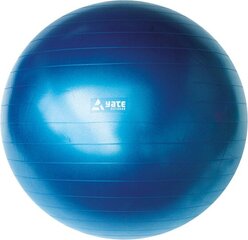 Мяч гимнастический Yate, 100 см цена и информация | Гимнастические мячи | 220.lv