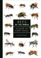 Bees of the World: A Guide to Every Family цена и информация | Книги по экономике | 220.lv