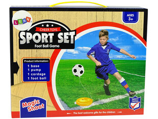 Футбольный набор для детей цена и информация | Развивающие игрушки | 220.lv