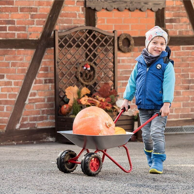 Metāla ķerra ar diviem riteņiem Rolly Toys cena un informācija | Ūdens, smilšu un pludmales rotaļlietas | 220.lv