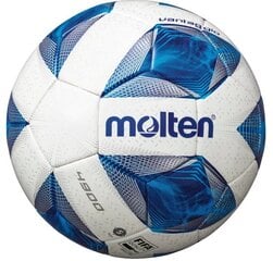 Футбольный мяч MOLTEN F5A4900, FIFA Quality Pro
Размер 5 цена и информация | Molten Футбол | 220.lv