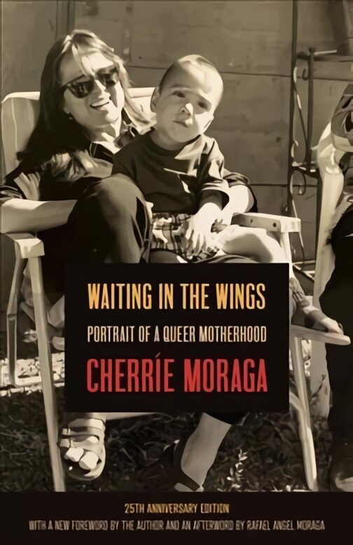 Waiting in the Wings: Portrait of a Queer Motherhood цена и информация | Biogrāfijas, autobiogrāfijas, memuāri | 220.lv