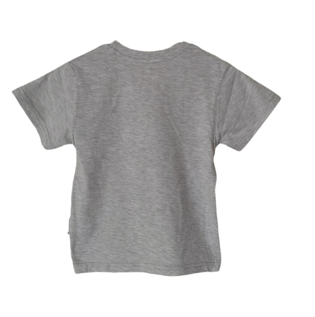 T-krekls ar īsām piedurknēm cena un informācija | Zēnu krekli | 220.lv