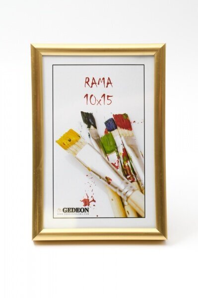 Foto rāmis Easy 70x100 cm cena un informācija | Foto rāmji, foto albumi | 220.lv