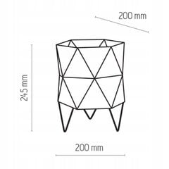 Настольная лампа TK Lighting Siro 5168 цена и информация | Настольные лампы | 220.lv