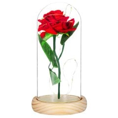 Вечная роза в колбе HA5155  цена и информация | Спящие стабилизированные розы, растения | 220.lv