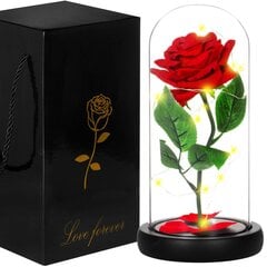 Roze ar LED vītni HA5156 cena un informācija | Stabilizētās rozes, augi | 220.lv