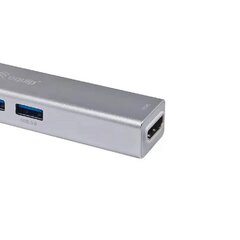 USB Centrmezgls Equip 133480 Pelēks cena un informācija | Adapteri un USB centrmezgli | 220.lv