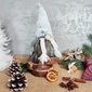 Ziemassvētku dekorācija - Rūķis цена и информация | Svētku dekorācijas | 220.lv