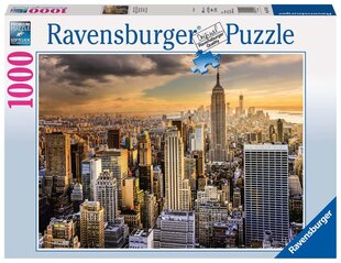 Головоломка Ravensburger New York, 1000 д. цена и информация | Пазлы | 220.lv