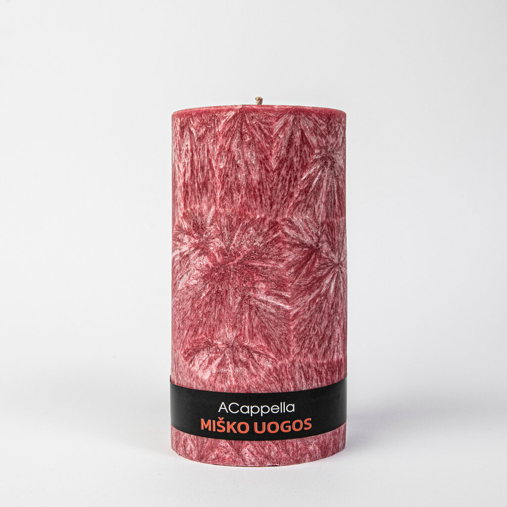Accapella roku darbs 100% palmu vaska aromātiskā svece "Meža ogas", 16 cm cena un informācija | Sveces un svečturi | 220.lv
