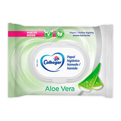 Влажная туалетная бумага Colhogar Aloe Vera, 42 шт цена и информация | Туалетная бумага, бумажные полотенца | 220.lv