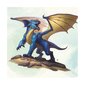 Galda spēle Dungeons & Dragons Dragons of Stormwreck Isle Starter Kit, EN цена и информация | Galda spēles | 220.lv