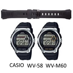 Pulksteņa siksniņa Casio 10243173 cena un informācija | Vīriešu pulksteņi | 220.lv