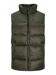 Vīriešu veste JJCHILI 12212221 Kolofonija SOLID cena un informācija | Vīriešu vestes | 220.lv